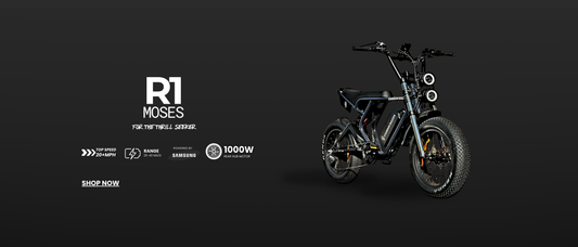 Cardin Razza Moses | E-Bike 