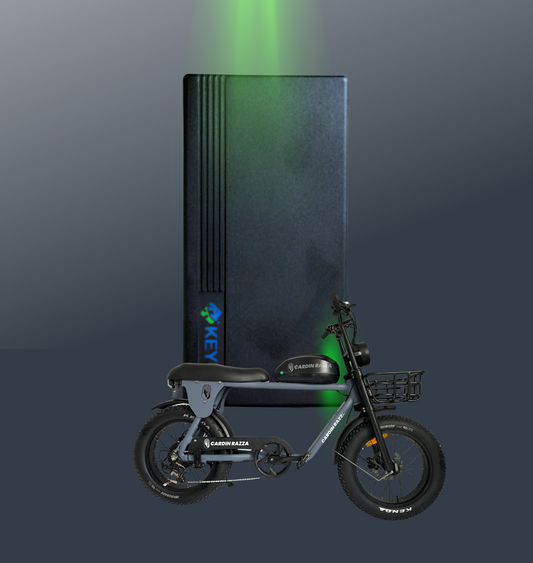 Cardin Razza Charger for ARK 2