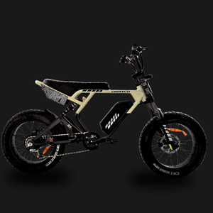 Cardin Razza R1
