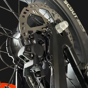 Cardin Razza R1